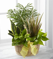 The FTD® French Garden 