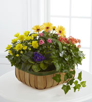 The FTD® Gentle Blossoms Basket