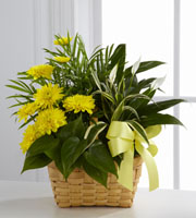 The FTD® Loving Light Dishgarden