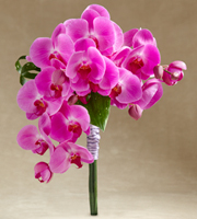 The FTD® Glorious Bouquet